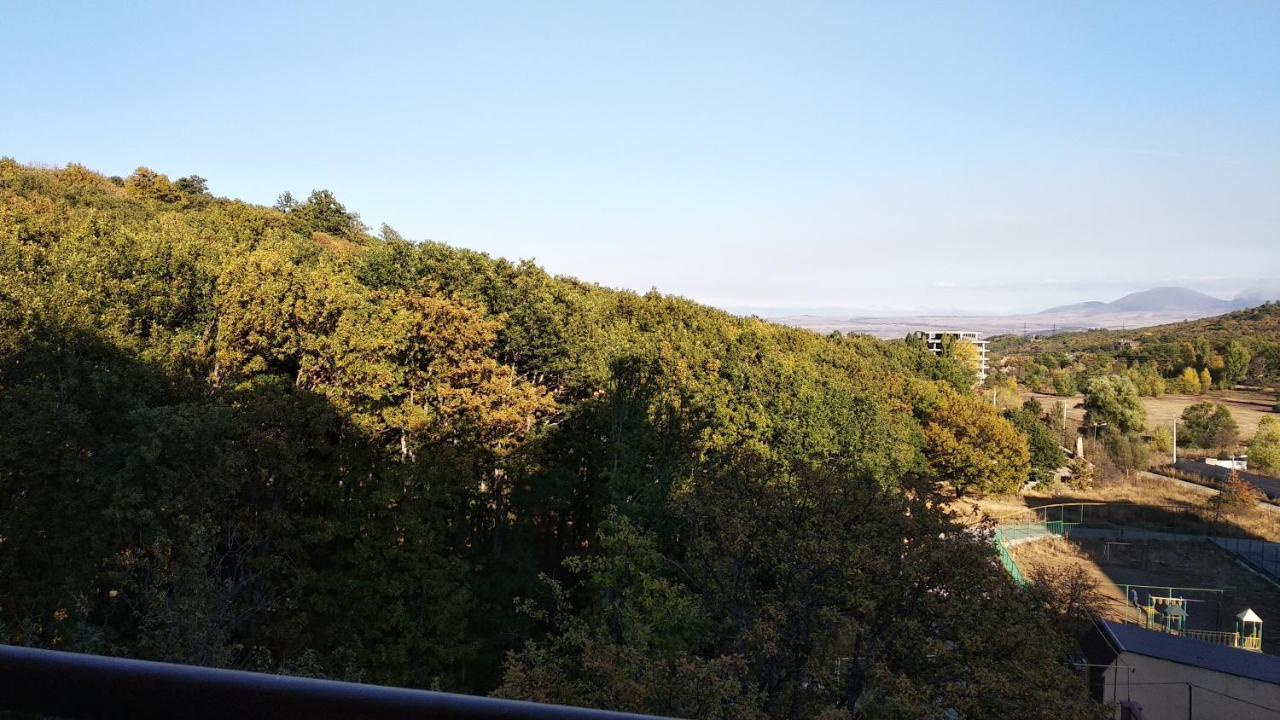 Hillside Apartment Tsaghkadzor Luaran gambar